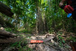 BIB: 
                            <button type="button" onclick="openModal(19388718)" class="btn btn-primary btn-sm float-right btn-popup" data-toggle="modal" data-target=".modal-high-quality">
                        <i class="fas fa-shopping-cart"></i> Add to Cart
                    </button>
                                            <button type="button" onclick="isThisMe(19388718, true)" class="btn btn-success btn-sm float-right btn-popup btn-isme hidden" data-toggle="tooltip" data-placement="bottom" title="นี่คือรูปของคุณใช่ไหม คลิกที่นี่เพื่อเอาเข้าอัลบั้ม">
                        <i class="fas fa-plus"></i> Add to album
                    </button>
                    <button type="button" onclick="isThisMe(19388718, false)" class="btn btn-warning btn-sm float-right btn-popup btn-isnotme hidden">
                        <i class="fas fa-ban"></i> Remove from album
                    </button>